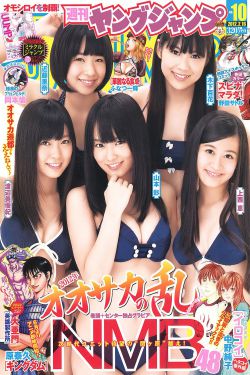 野山鹰 电视剧